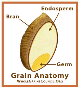 GrainParts_WGC_4x4.5_WGC